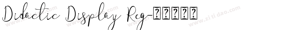 Didactic Display Reg字体转换
